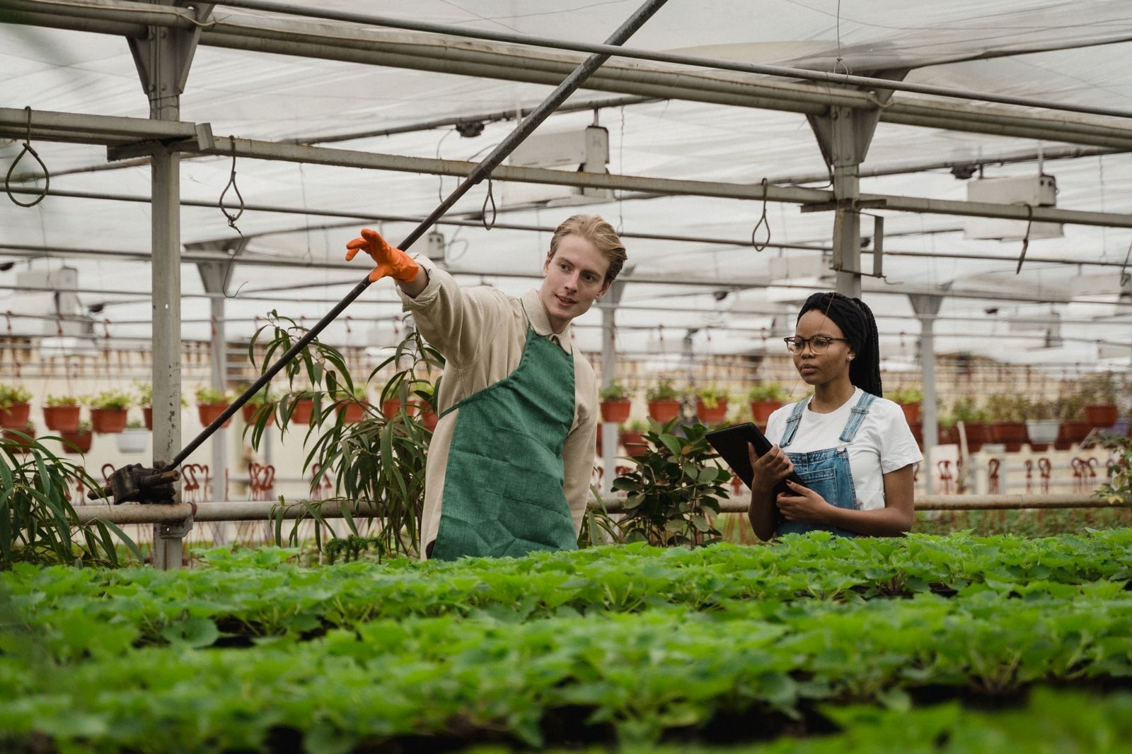 Operations Manager leder driften i fødevareproduktion